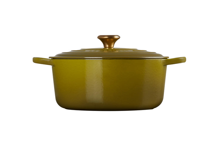 Enameled Cast Iron Round Dutch Oven