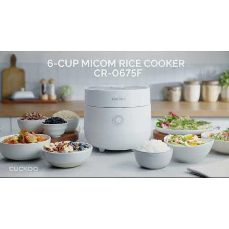 Micom Fuzzy Logic Rice Cooker