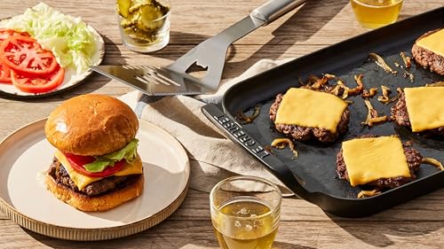 Enameled Cast Iron Rectangular Griddle