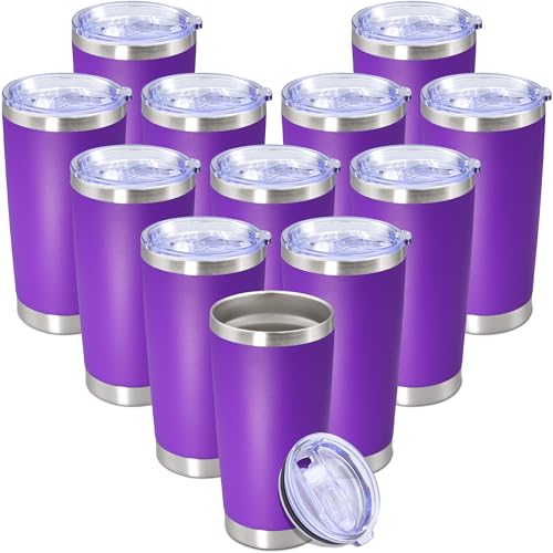20 oz Tumbler Insulated Tumblers Stainless Steel Coffee Mug (Purple)