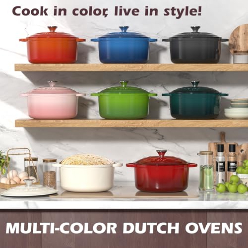 Enameled Cast Iron Dutch Oven