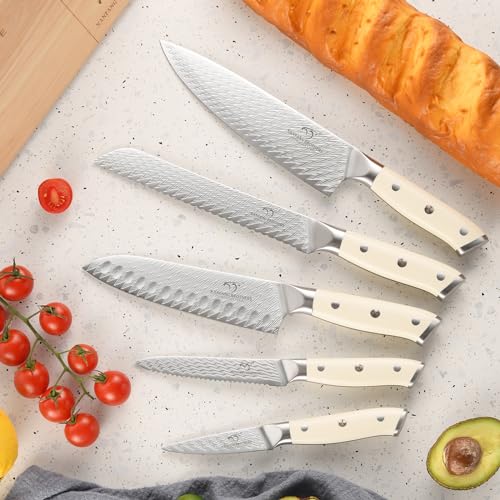 6 Piece Damascus VG10 Knife Set w