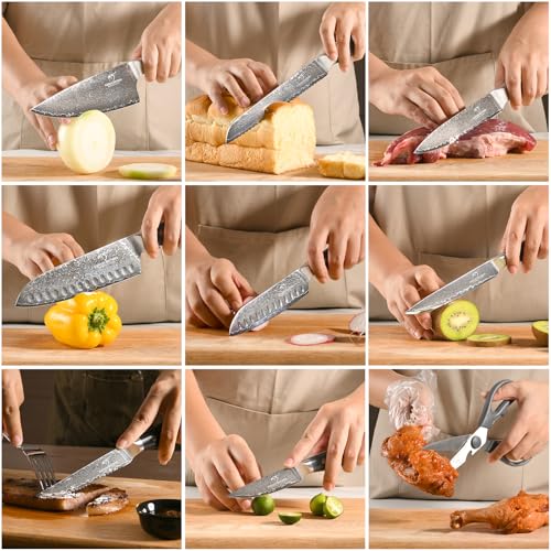16 Piece Damascus Kitchen Knife Set (16 Count)
