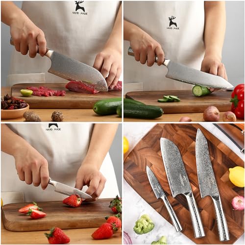 Damascus Kitchen Knife Set with Block (4 Count)