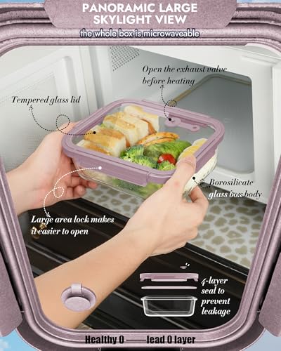 12 Pack Glass Containers with Tempered Lids (Tempered Lids Pink / 12 mixed sizes)