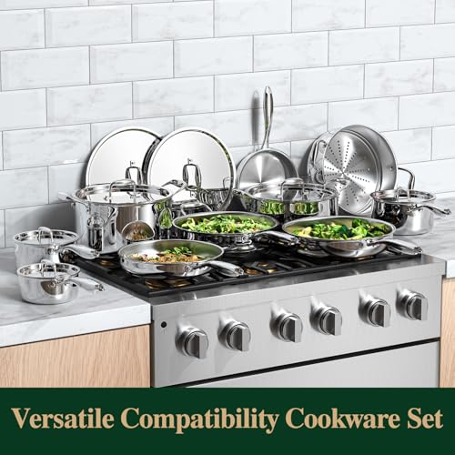 17Pcs 5 Ply Clad Stainless Steel Cookware Set with Lids