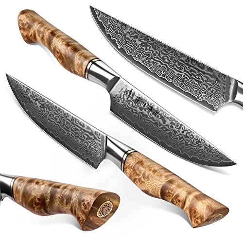 6PCS Kitchen Knife Set Professional Forged Damascus High Carbon Steel Steak Knife Figured Sycamore Wood Handle (6 Count)