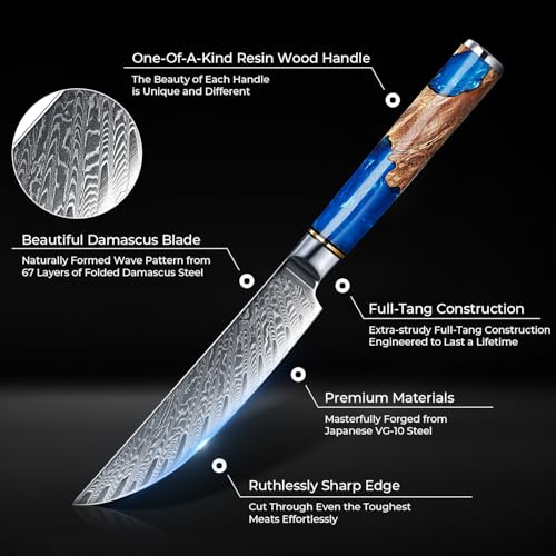 SENKEN Damascus Steak Knife Set (6 Count)