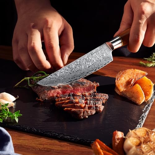SENKEN 16 Piece Damascus Knife block Set (16 Count)