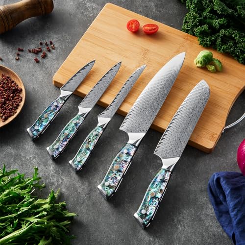 SENKEN Damascus Steel Kitchen Knife Set (5 Count)