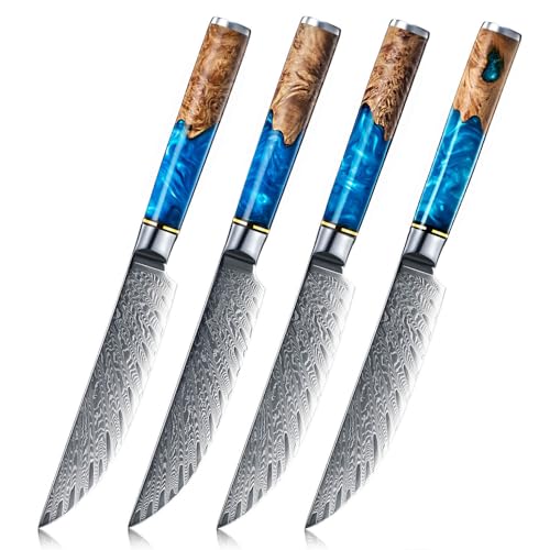 SENKEN Damascus Steak Knife Set (4 Count)