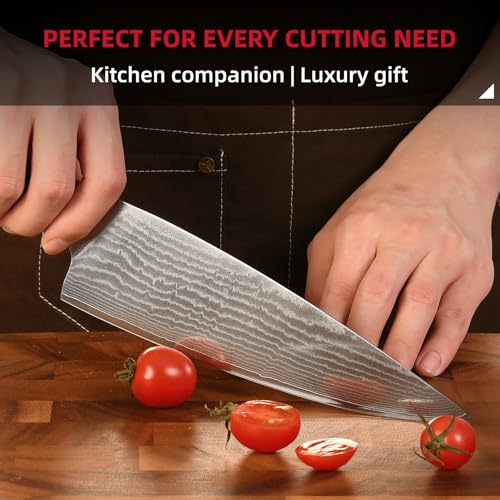 9 Piece Damascus Japanese Kitchen Knife Set with Block (9 Count)