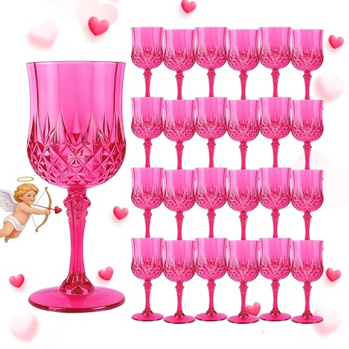 24Pack Plastic Wine Glasses (24 Count)