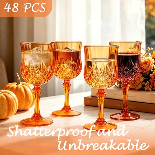 48Pack Plastic Wine Glasses (48 Count)