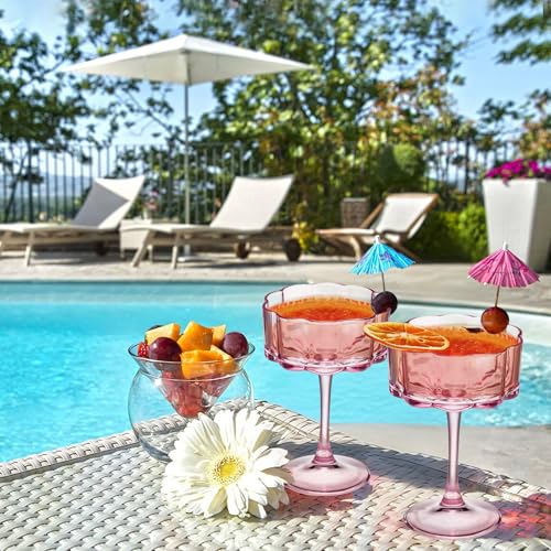 Vintage Champagne Coupes Glass Cute Martini Cocktail Glasses (24 Count)