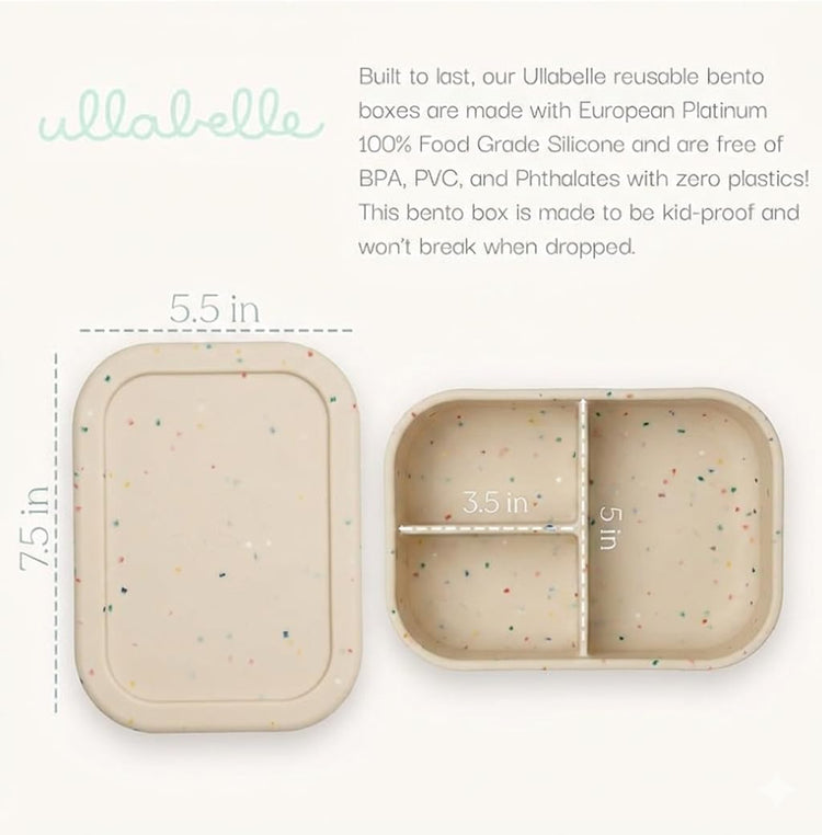 Kids Bento Box
