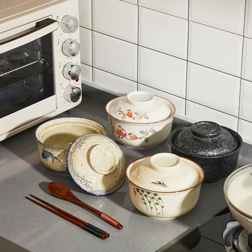 25oz Ramen Bowls Set of 4 Japanese Dinnerware Set with Lid (Mixed)
