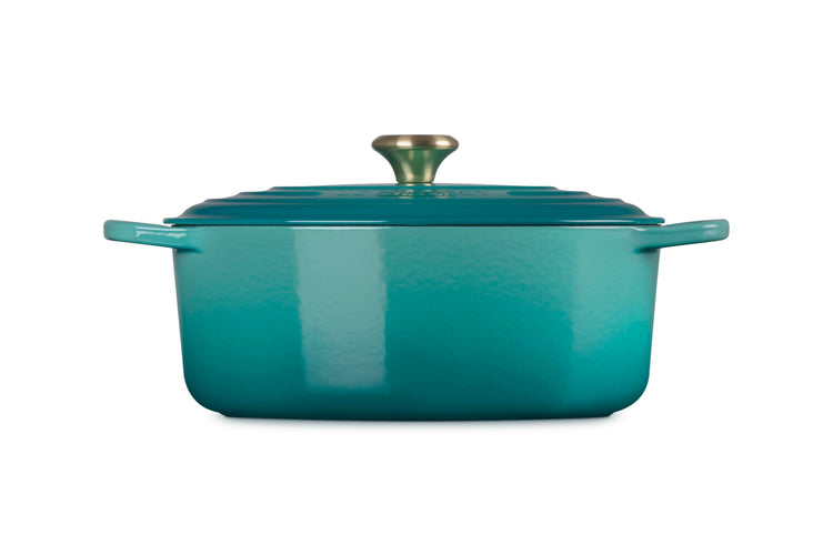 Enameled Cast Iron Oval Dutch Oven
