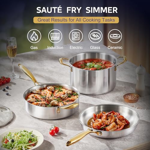 Triple Ply Stainless Steel Pots and Pans Set