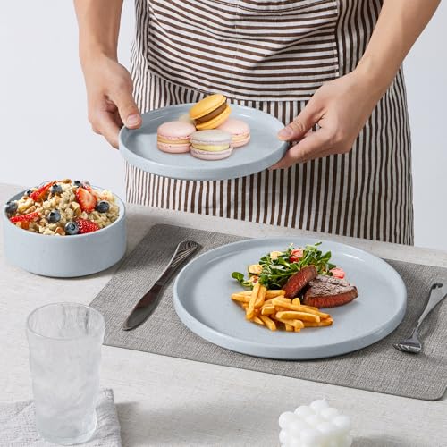 6 Piece Stoneware Dinnerware Sets (6 Count)
