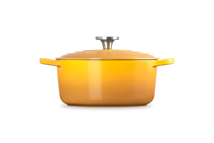 Enameled Cast Iron Round Dutch Oven