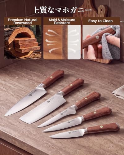 8 PCS Japanese Kitchen Knife Set with Block