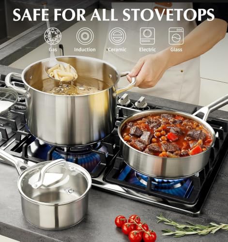 Stainless Steel Cookware Set 17 Piece