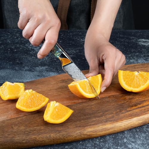 SENKEN Damascus Steel Kitchen Knife Set (5 Count)