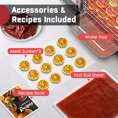10 Tray Stainless Steel Food Dehydrator