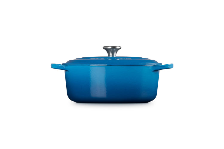 Enameled Cast Iron Oval Dutch Oven
