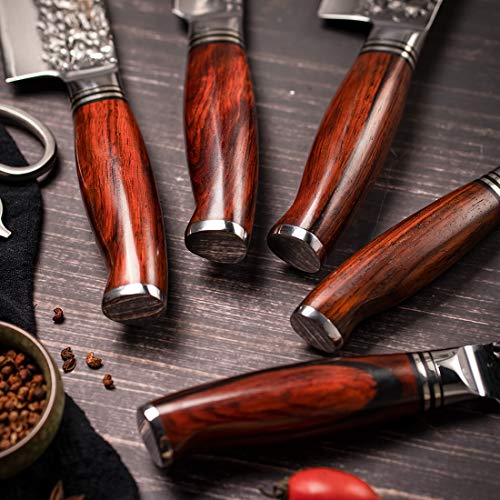 Chef Knife Set without Block (5 Count)
