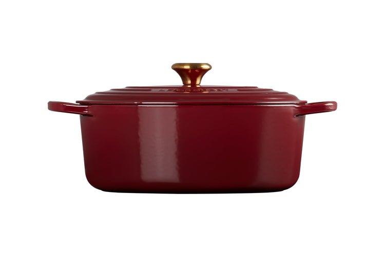 Enameled Cast Iron Oval Dutch Oven