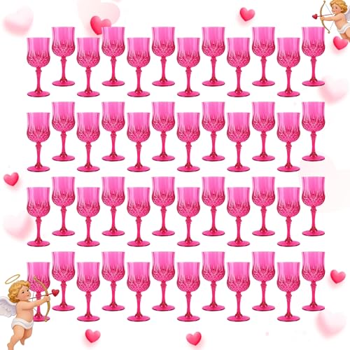 48Pack Plastic Wine Glasses (48 Count)