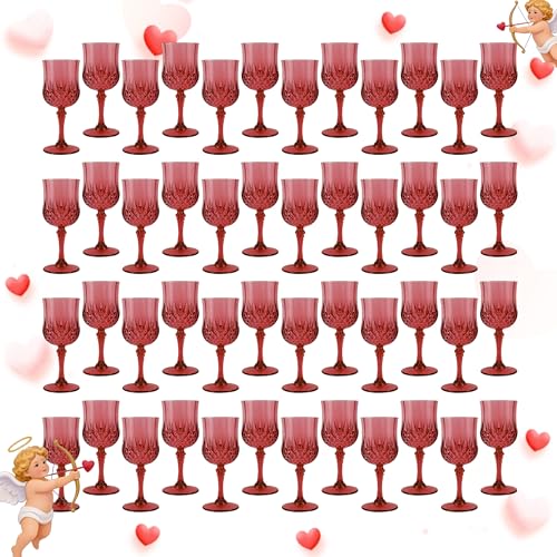 48Pack Plastic Wine Glasses (48 Count)