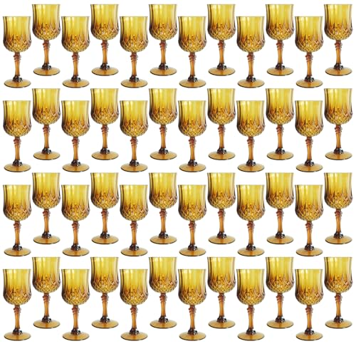 48Pack Plastic Wine Glasses (48 Count)
