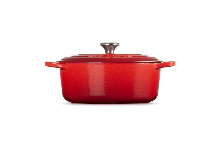 Enameled Cast Iron Oval Dutch Oven