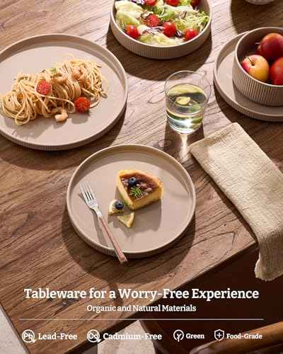 Stoneware Dishes Dinnerware Sets for 6 (18 Count)