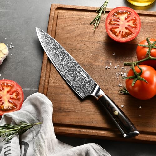 Chef Knife 67 Layers VG10 Damascus Kitchen Knife 8 Inch Sharp Knife Wood Handle