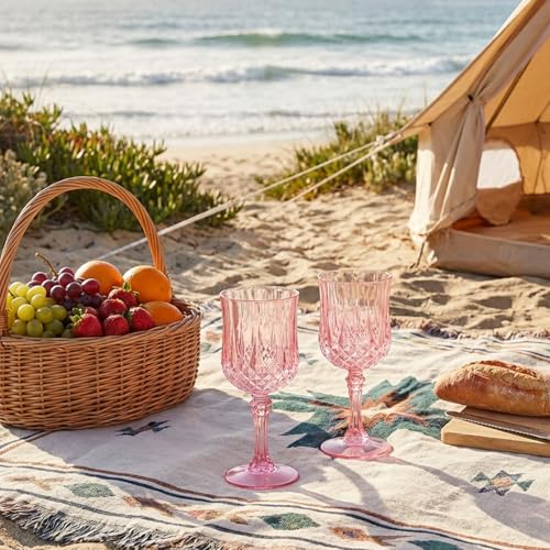 Plastic Wine Glasses (10 Count)