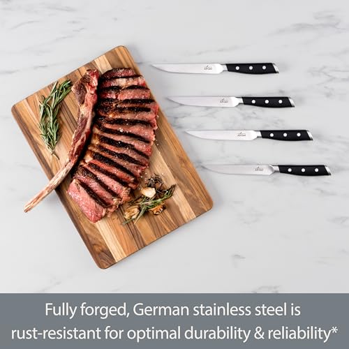 Forged German Stainless Steel Steak Knife Set 4 Piece (4 Count)