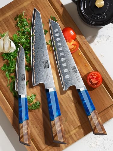 Damascus 3PCS Knife Set (3 Count)