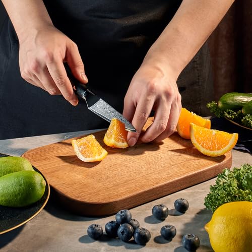 SENKEN 6 Piece Damascus Steel Kitchen Knife Set (6 Count)