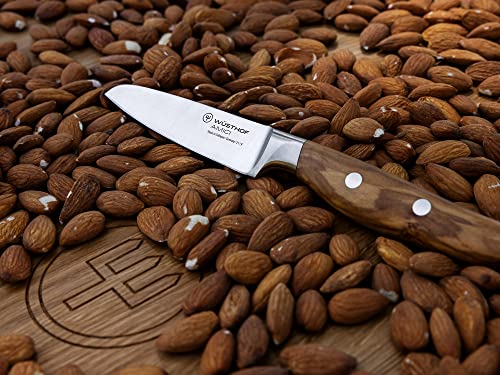 Amici 2 Piece Essential Knife Set