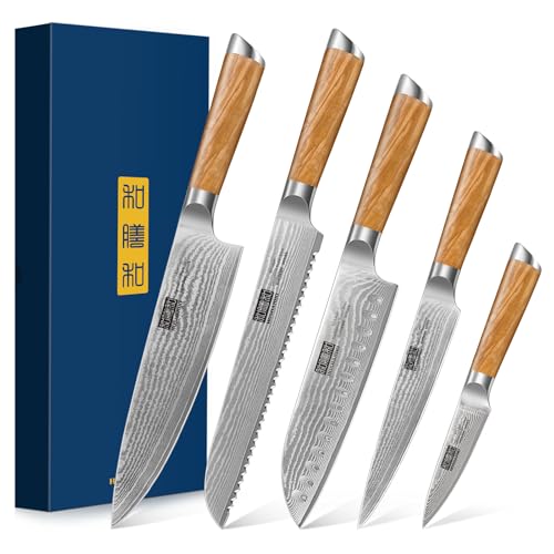 Damascus Kitchen Knife Set 5PCS (5 Count)