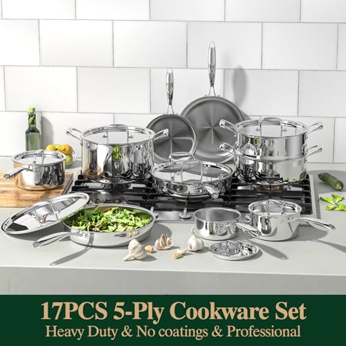 17Pcs 5 Ply Clad Stainless Steel Cookware Set with Lids