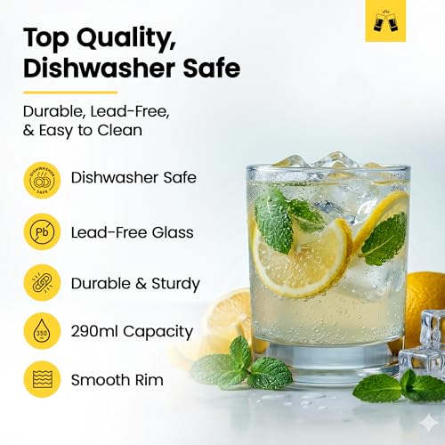 Premium Highball 12oz (6 Count)