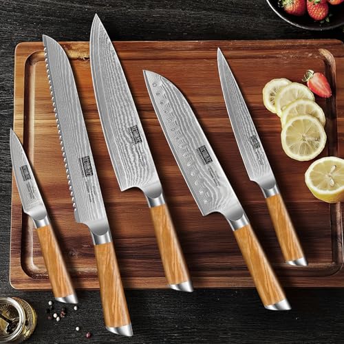 Damascus Kitchen Knife Set 5PCS (5 Count)