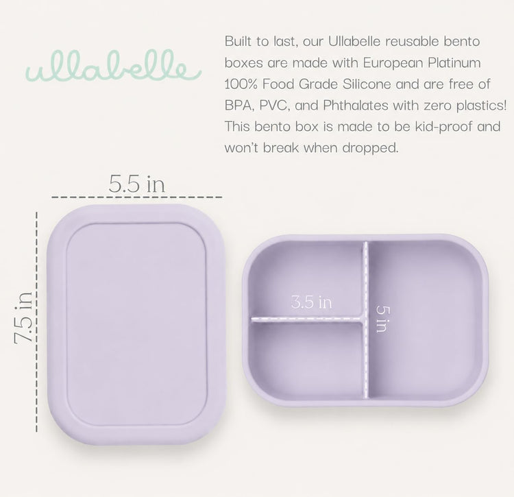Kids Bento Box