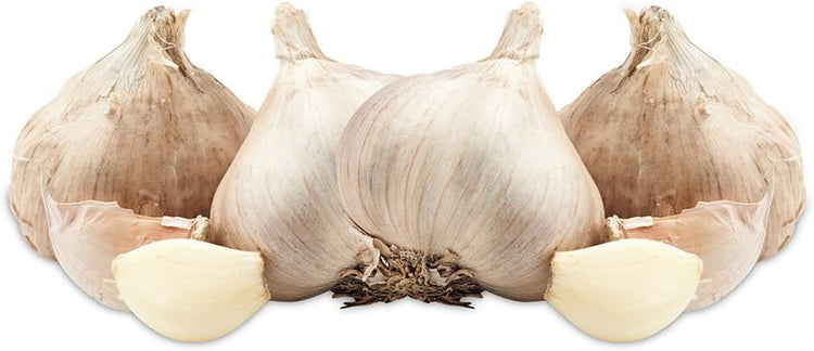 Evriholder Fresh Fare Garlic Keeper, Double Drawstring Feature Protects from Light and Delays Spoilage Sprout-Free Vegetable Storage Bag, 12 Head Capacity
