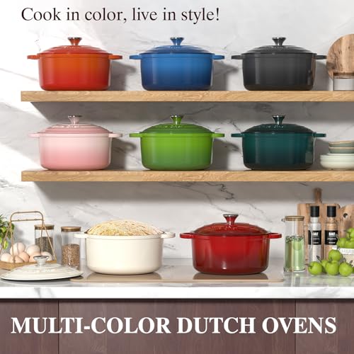 5QT Enameled Cast Iron Dutch Oven Pot with Lid